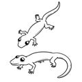 Vector set of lizards