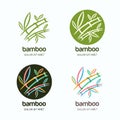 Vector set of logo icon or emblem with hand drawn multicolor creative bamboo plant.