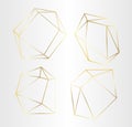 Vector set of luxury golden crystal shapes. Isolated illustration element. Isolated illustration element. Royalty Free Stock Photo