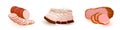 Vector set with meat products of market, butchery shop, store: salo, high-fat bacon, ham, sausage.