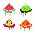 Vector set of melting fruits. Orange, watermelon, passion fruit, qiwi. Summer exotic theme. Ice cream style illustration Royalty Free Stock Photo