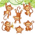 Vector set with monkey in different poses