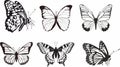 Vector set of monochrome butterflies. Beautiful insect with large black wings.