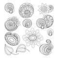 Vector Set of Monochrome Contour Floral Doodles Royalty Free Stock Photo