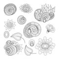 Vector Set of Monochrome Contour Floral Doodles Royalty Free Stock Photo