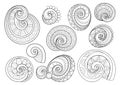 Vector Set of Monochrome Contour Floral Doodles Royalty Free Stock Photo