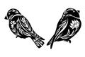 Vector set of monochrome decorative illustration birds. Collection black tracery clip art with bullfinches. Folk art silhouette