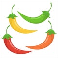 Vector set of multi-colored chili peppers on a white background. Realistic performance. Royalty Free Stock Photo