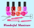 Vector set of nailpolishes and manicure tools Royalty Free Stock Photo