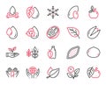 Vector Set of Nature icons related to Peanut, Oil drop and Water splash. Vector Royalty Free Stock Photo