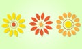 Vector set of nature themed, collection of flowers