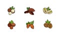 Vector set of nuts, colored illustrations on white background, macadamia, pecan, pistachio, hazelnut, almond and walnut.