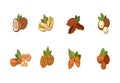 Vector Set of Nuts and Seeds Icons. Pistachio, Cashew, Hazelnut, Walnut, Pecan, Coconut, Peanut, Macadamia Nut, Almond