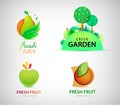 Vector Set of organic, bio, eco and nature food logos and labels. Fruit, garden farm fresh pear, apple