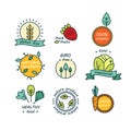 Vector set of green and organic products labels and badges - collection of different icons and illustrations related to