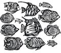 Vector set of Ornamental decorative fish Royalty Free Stock Photo
