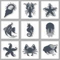 Vector Set of Ornate Sea Animals Icons with Long Shadow