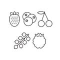 Vector set of outline berries such as strawberry, cherry, bilber