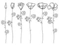 Vector set with outline California poppy flower or California sunlight or Eschscholzia, leaf, bud and flower in black isolated.