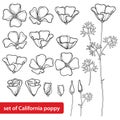 Vector Set With Outline California Poppy Flower Or California Sunlight Or Eschscholzia, Leaf, Bud And Flower In Black Isolated.