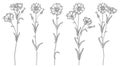 Vector set with outline Cornflower or Knapweed or Centaurea flowers bunch, bud and leaf in black isolated on white background.