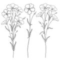 Vector set with outline Flax plant or Linseed or Linum flowers bunch, bud and leaf in black isolated on white background.