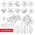 Vector set with outline Forget me not or Myosotis flower, bud, leaves and bunch in black isolated on white background.