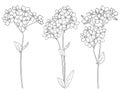 Vector set with outline Forget me not or Myosotis flower bunch, bud and leaf in black isolated on white background.