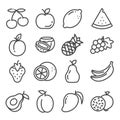 Vector set of outline fruit icons isolated