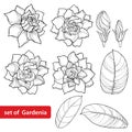 Vector set with outline Gardenia flower, ornate bud and leaves in black isolated on white background.