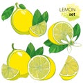 Vector set with outline half and whole fruit, slice, leaf and Lemon flower isolated on white background.