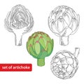 Vector set with outline head of Artichoke or Cynara isolated on white background. Royalty Free Stock Photo
