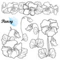 Vector set with outline Pansy or Heartsease or Viola tricolor flower, bud and ornate leaf in black isolated on white background. Royalty Free Stock Photo