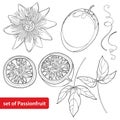 Vector set with outline Passion fruit or Maracuya. Half fruit, leaf and flower isolated on white background. Royalty Free Stock Photo