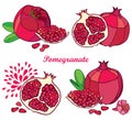 Vector set of outline Pomegranate half and whole fruit, ornate flower, green leaf and seed isolated on white background.