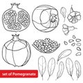 Vector set of outline Pomegranate half and whole fruit, ornate flower, leaf and seed in black isolated on white background.