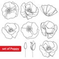 Vector set with outline Poppy flower, bud and open flowers isolated on white background. Floral elements in contour style. Royalty Free Stock Photo