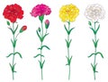 Vector set with outline red, pink, pastel white and yellow Carnation or Clove flower, bud and leaf isolated on white background.