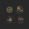 Vector set of packaging design elements and icons in linear style - almond, coconut, rice and soy milk Royalty Free Stock Photo