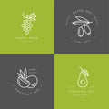 Vector set of packaging design templates and emblems in linear style - beauty and cosmetics oils