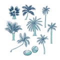 Vector set of palm. Different kinds of tropical trees and coconut. Contour sketch illustration isolated on white Royalty Free Stock Photo