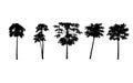 Vector set. papayas trees silhouettes on white background. illustration. Royalty Free Stock Photo