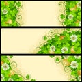 Vector Set of Patrick`s Day Banners