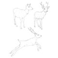 Vector Set of Sketch Deer Illusrations Royalty Free Stock Photo