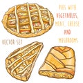 Vector set with pies with vegetables, meat, cheese and mushrooms