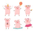 Vector set of pigs cute cartoon character in different poses isolated on white background. Collection piggy with Royalty Free Stock Photo