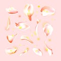 Vector set of pink falling rose and sakura petals. Blurred spring blossom petal set with decorative elements, stamen Royalty Free Stock Photo