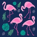 Vector set with pink flamingos and tropical palm leaves. Hand Drawn illustration, isolated elements. Royalty Free Stock Photo