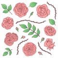 Vector set of pink rose flowers with buds, leaves and thorny stems line art isolated on the white background. Hand drawn floral co