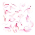 Vector set of pink falling rose and sakura petals. Blurred spring blossom petal set with decorative elements, stamen Royalty Free Stock Photo